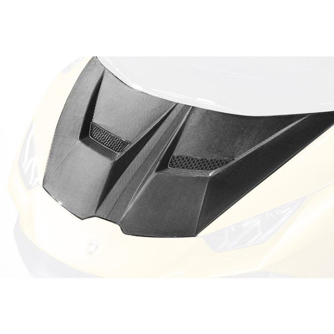 Vorsteiner Lamborghini Huracan Performante Vicenza Edizione Carbon Fiber Aero Bonnet (1013LOV)