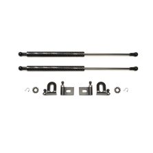 GReddy Carbon Fiber Hood Damper for Evo X (18530101)