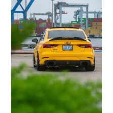 2014-2020 Carbon Fiber PSM Spoiler for Audi A3/S3/RS3