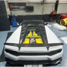 Lamborghini Huracan Carbon Fiber Glass Engine Cover