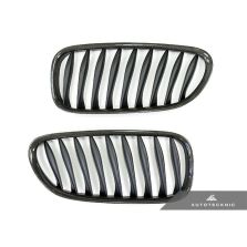 AutoTecknic Carbon Fiber Front Grille Set - E85 Z4 / Z4M