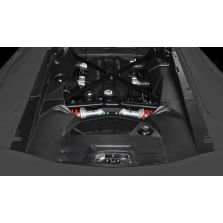 Lamborghini Aventador LP700-4 - DMC 'Molto Veloce' Carbon Fiber Engine Compartment Kit
