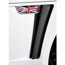 Jaguar F-Type 2013+ - STARTECH Carbon Fiber Fender Panels (pair)