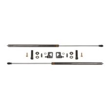 Prosport Carbon Fiber Hood Dampers for S2000 *Discontinued*