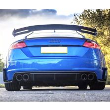 Audi TTRS Carbon Fiber Dual Hole Wing