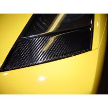 Lamborghini Gallardo - Carbon Fibre Washer Covers