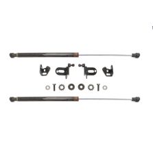 Rexpeed Carbon Fiber Hood Dampers for USDM R35 GTR (N06)