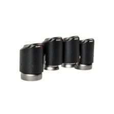 Akrapovic 2020+ BMW X3 M/X3 M Competition (F97) Tail Pipe Set (Carbon)