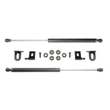 Prosport Carbon Fiber Hood Dampers for Evo X (HD-MITS-EVO-10)