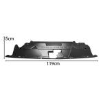 Ford Mustang GT 2024 2025 Water Tank Radiating Plate Cover Dry Carbon Fiber