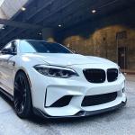 BMW 2 Series F87 M2 Coupe 2016-2020 Front Bumper Lip Carbon Fiber