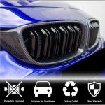 BMW 3 Series F30 2012-2018 Front Grille Carbon Fiber