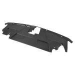 Ford Mustang GT 2024 2025 Water Tank Radiating Plate Cover Dry Carbon Fiber