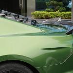 Ford Mustang S550 Coupe Rear Trunk Spoiler Carbon Fiber / FRP 2015–2019