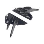 Audi RS3 8.5Y 2025-2026 Front Bumper Vents Dry Carbon Fiber
