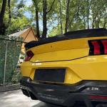 For Ford Mustang Dark Horse Coupe 2-Door 2024 Rear Trunk Spoiler Carbon Fiber