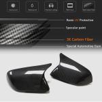 Ford Mustang V6 V8 GT GT350R 2015-2021 Add-on Mirror Covers Dry Carbon Fiber