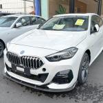 BMW 2 Series F44 216i 218i 220i 228i M Sport M235i 2020-2023 Front Bumper Lip Gloss Black ABS