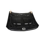 Ford Mustang 2024 Engine Bonnet Hood Cover Carbon Fiber
