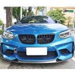 BMW 2 Series F87 M2 Coupe 2016-2020 Front Bumper Lip Carbon Fiber