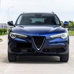 Carbon Fiber V Shape Grill Mesh Frame Cover Decoration Trim 2017-2019