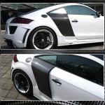 Audi TT TTS TTRS MK2 8J Pre-facelift 2008-2014 Door Quarter Panel Covers Carbon Fiber