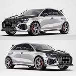 2022–2024 Audi RS3 8Y Sedan & Sportback 4-Piece Dry Carbon Fiber Front Bumper Canards
