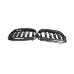 BMW 6 Series GT G32 LCI 2021-2023 Front Grille Dry Carbon Fiber