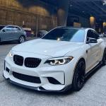 BMW 2 Series F87 M2 Coupe 2016-2020 Front Bumper Lip Carbon Fiber