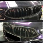 BMW 8 Series G14 G15 G16 840i M850i 2018-2022 Front Bumper Kidney Grille Dry Carbon Fiber