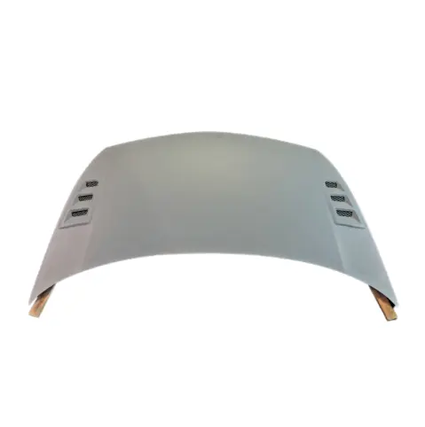 Honda Civic 2006 4 Door FD2R MUG RR Style Hood