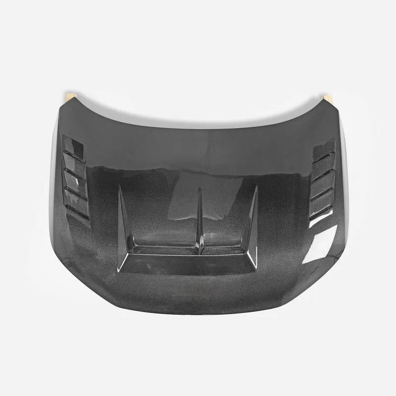 Honda Civic Type-R FL5 Hatch Back EPA MUG Type Hood